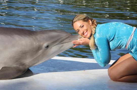 Animal Care at Dolphin Facility in the Keys