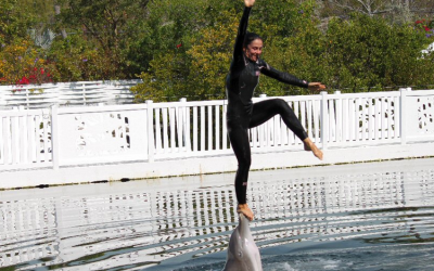 Discovering Marine Animal Shows and Animal Exhibits at Theater of the Sea, Florida