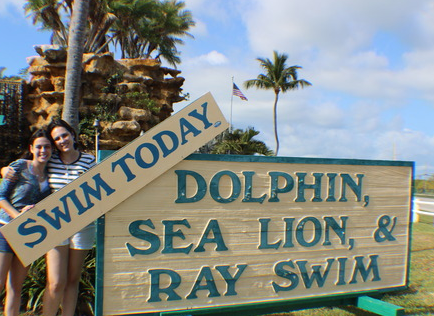 Exploring the Rich History of Theater of the Sea in Islamorada, Florida