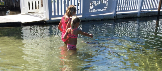 Florida Keys Swim with Dolphin Beach