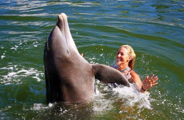 dolphin program in the Florida Keys