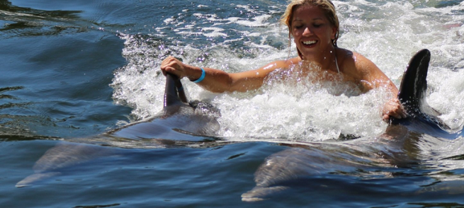 Key West Swim with Dolphins
