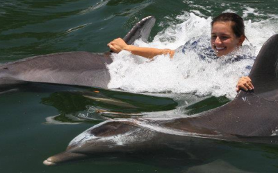 Best Place to Swim with Dolphins in Florida Keys