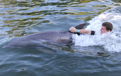 Swim with dolphins in the Florida Keys