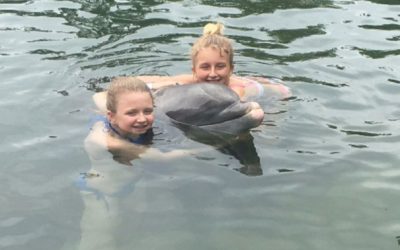 Live Out Your Dream: Swim with Dolphins near Key Largo