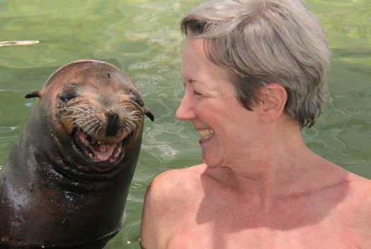 Sea Lion Swim in Florida Key