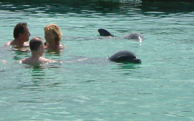 Total Serenity in the Florida Keys: Swimming with Dolphins Near Cheeca Lodge & Spa at Theater of the Sea