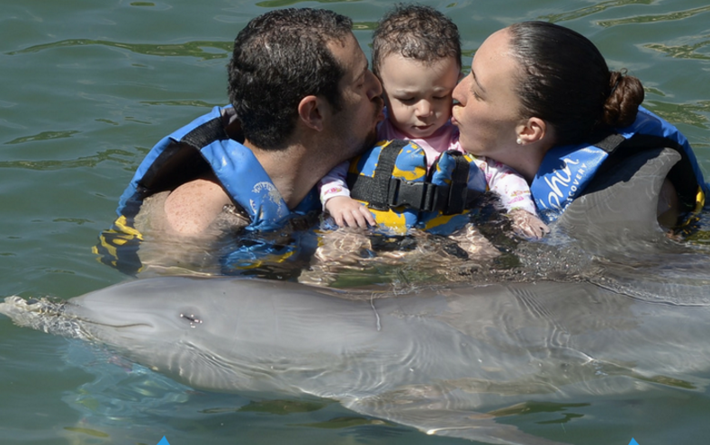 Vacation to Swim with Dolphins in the Keys