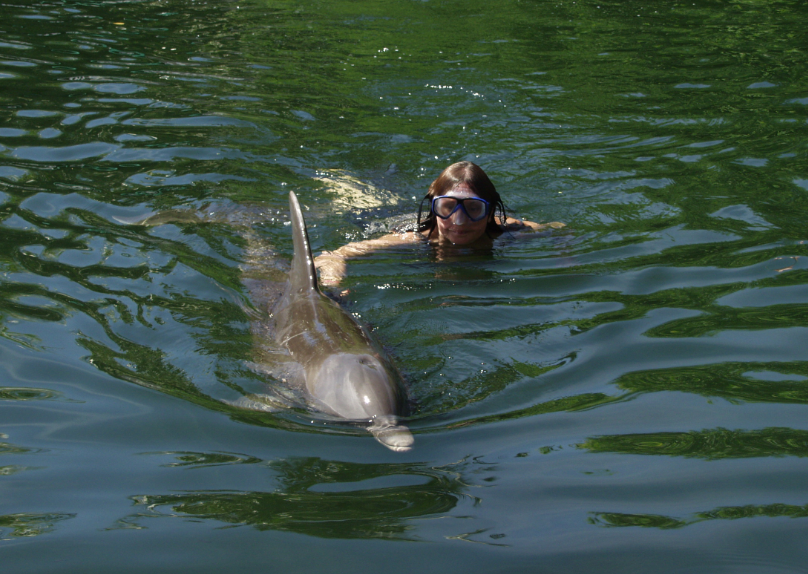 FAQ for Florida Keys Dolphin Swim