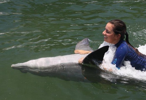 Dolphin Discovery Belly Ride Duck Key