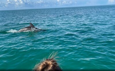 Bahia Honda State Park and Dolphin Swimming in the Florida Keys