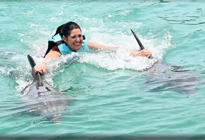 double dorsal fin ride dolphin royal swim duck key
