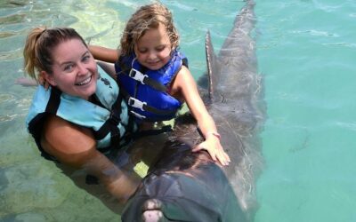 Family-Friendly Hotels Near Swim with Dolphins in Marathon, Florida