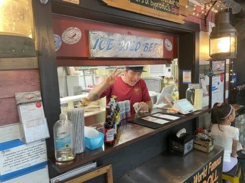 Best Places to Eat & Swim with Dolphins in Key West Area