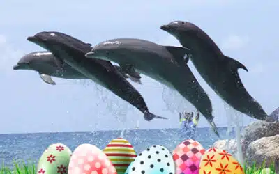 Easter in the Florida Keys: Faith, Fun, and Dolphins in Paradise