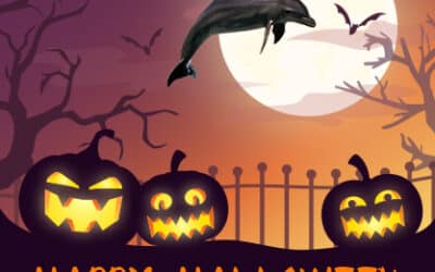 Fantasy Fest Key West and Dolphin Adventures: A Wild Week in Paradise