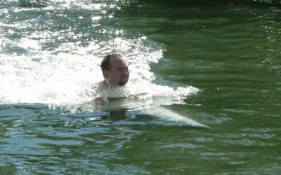 Swimming with Dolphins near Robbie’s of Islamorada