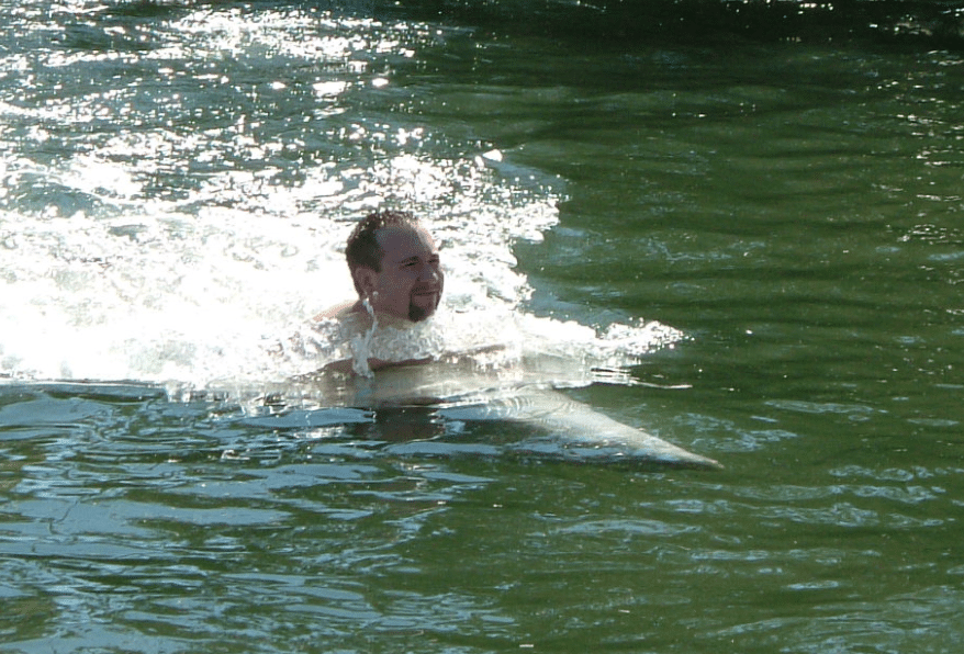 Swim with Dolphins in the Florida Keys