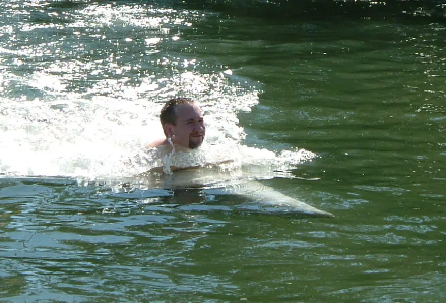 Swim with Dolphins in the Florida Keys