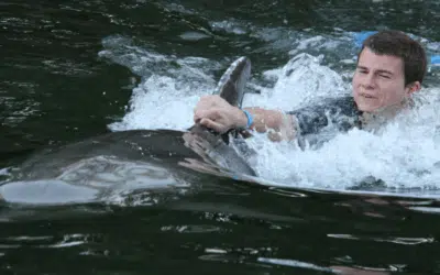 Swimming with Dolphins and Exploring Rain Barrel Village in Islamorada