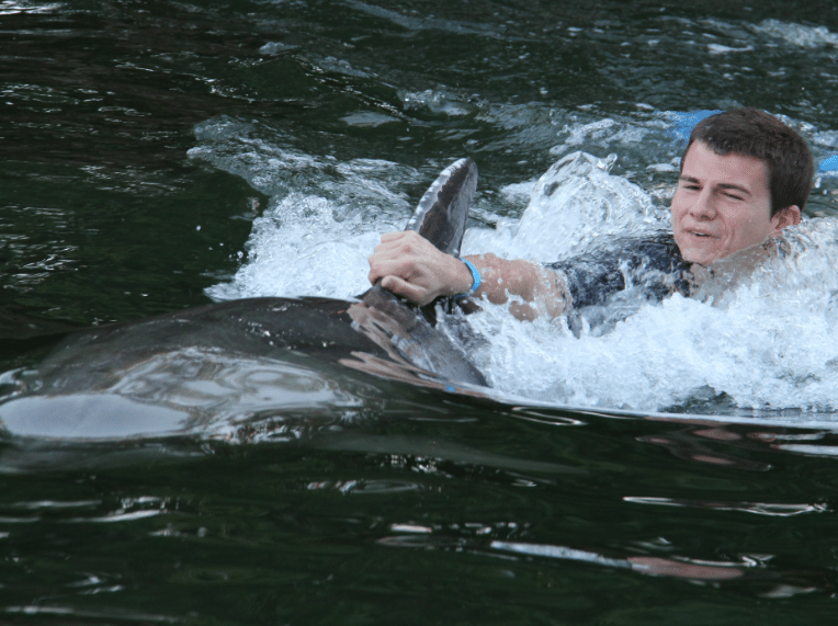 dolphin_ride_fl_keys_ Swim with the Dolphins in the Florida Keys