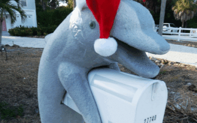 Swimming with Dolphins During the Christmas and Hanukkah Holidays in the Florida Keys