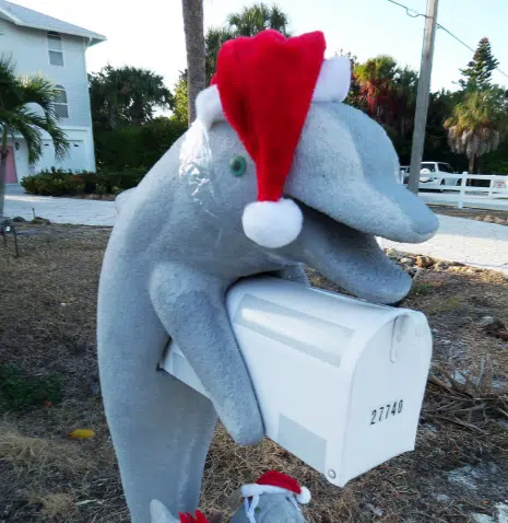 florida_mail_box_for_Christmas Florida Keys Dolphin Swim Christmas