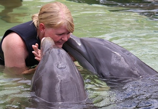 Swim with Dolphins Key Largo