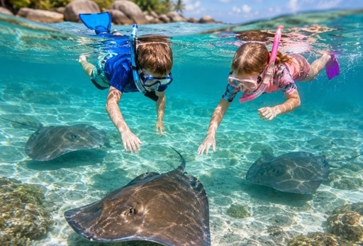 Swim with Sting Rays Florida Keys Islamorada