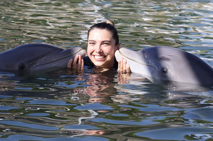 Swim with Dolphins Key Largo