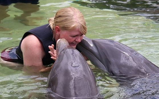 Key-Largo-Dolphin-Encounter-shallow-water-and-deep-water-Upper-Keys Key Largo Dolphin Encounter shallow water and deep water