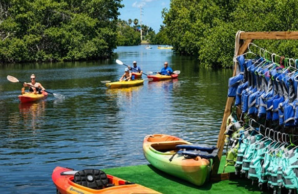 Key West Kayak Eco Tour