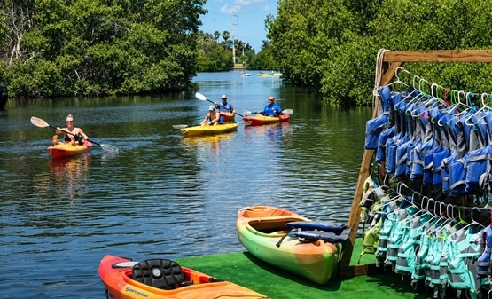 Key West Kayak Eco Tour