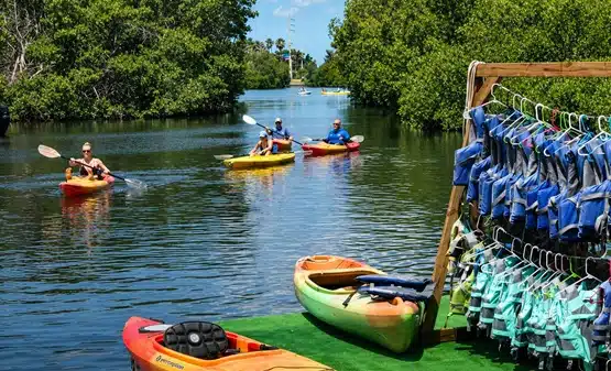 Key West Kayak Eco Tour Key West Kayak Eco Tour