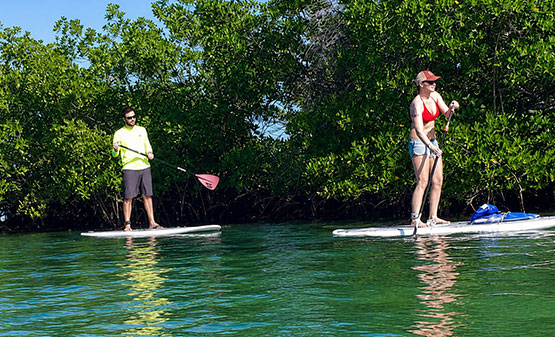 Paddle-Board-Guided-Tour-–-Key-West Key West Paddle Board Tours
