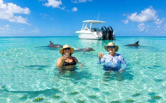 Private-Dolphin-Wild-Dolphin-Sandbar-Snorkel-Trip Key West Wild Dolphin Private charter Sandbar and Snorkel trip