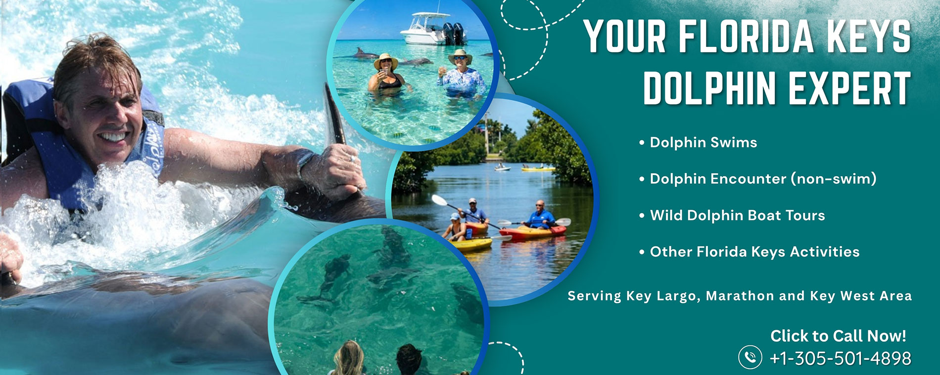 Swim with Dolphins in Florida Key West