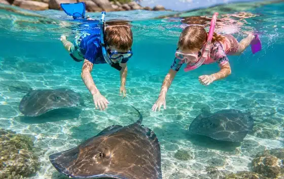 Upper Keys Islamorada Sting Ray Swim Upper Keys Sting Ray Swim