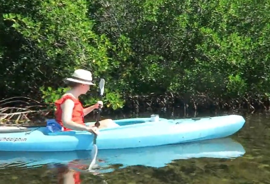 Kayak Tours Key West