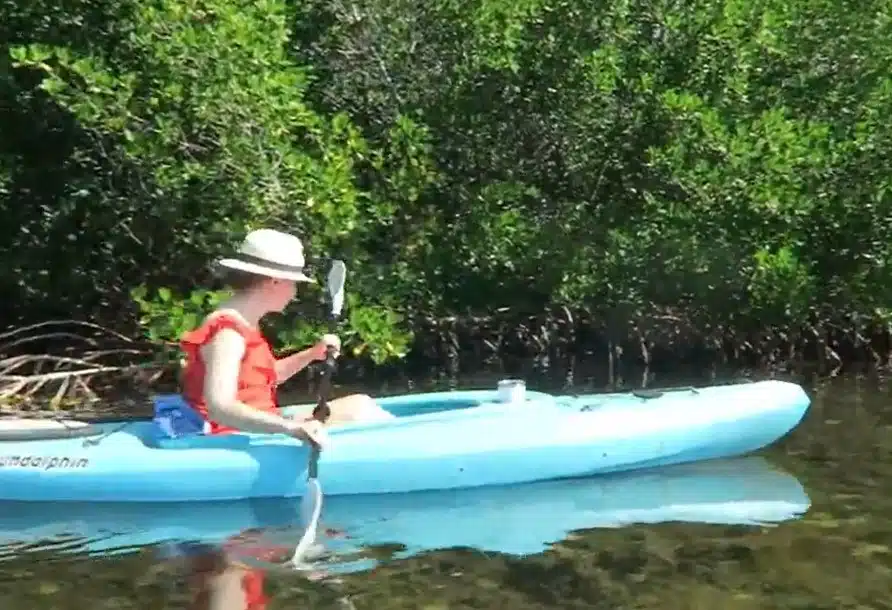 Kayak Tours Key West