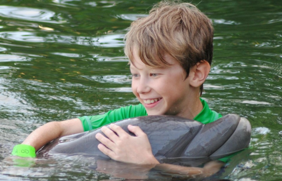 Dolphin Encounter Islamorada