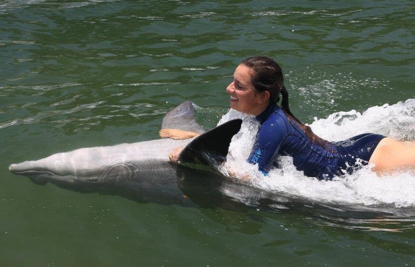 Florida Keys Dolphin Swim