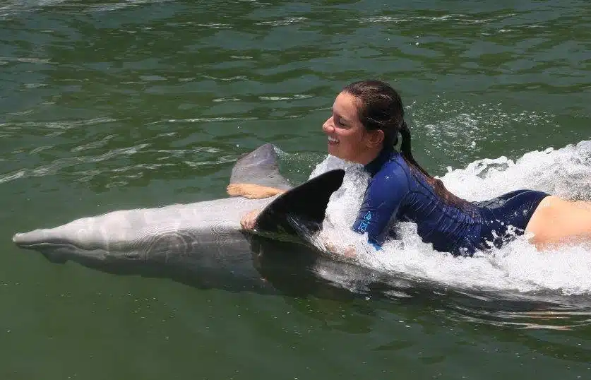 Florida Keys Dolphin Swim
